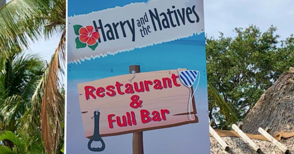 Harry and the Natives: Revitalization Strategy for Success