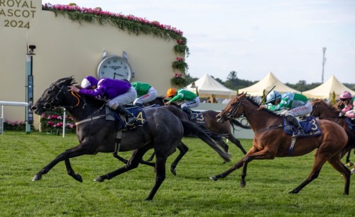 Ultimate Guide to Pilgrim's Victory at Palace of Holyroodhouse Stakes
