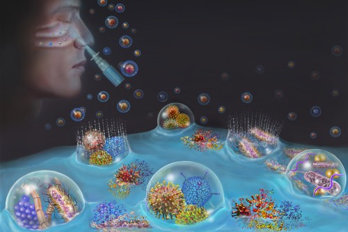 Nasal Spray Revolution: Tips for Drug-Free Respiratory Protection