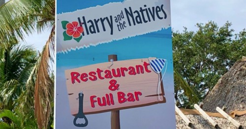 Harry and the Natives: Revitalization Strategy for Success