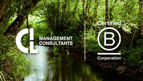 B Corporation Certification: Market Trends and Success Insights
