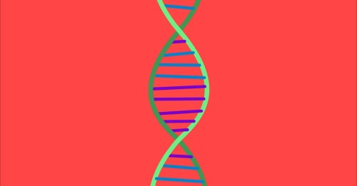 Genetics Unraveled: Tips for Understanding the Mystery of Schizophrenia