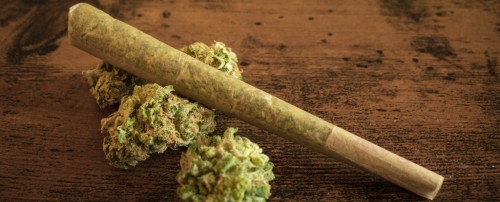 Epigenetic Tips for Healthy Cannabis Consumers